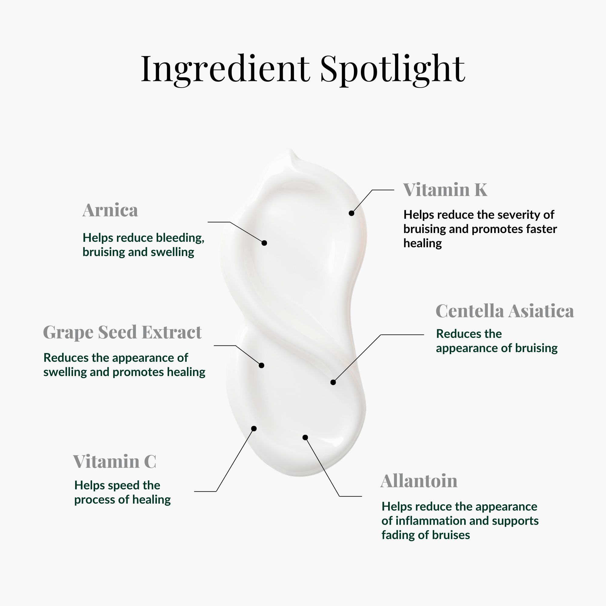 SVA0011.5.Ingredient_Spotlight.png